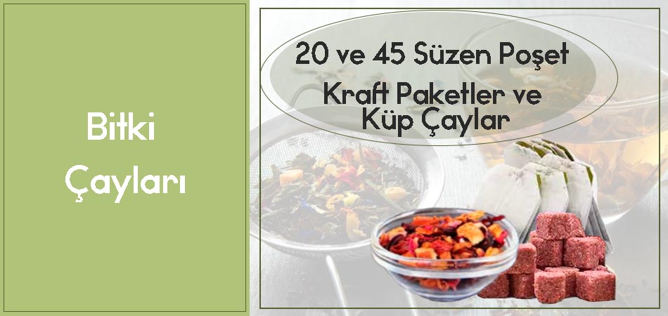 Bitki Çayları