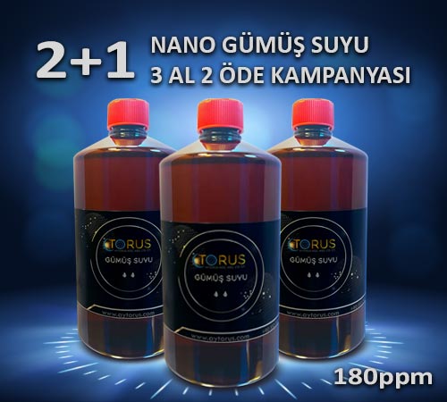 Gümüş-Suyu